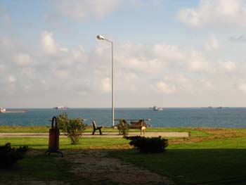 33