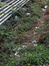 %_tempFileName14_Bangkok_Pattaya_15_March_2014%