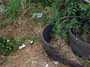 %_tempFileName15_Bangkok_Pattaya_15_March_2014%
