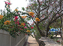 %_tempFileName06_Pattaya_Trine_Eklund_17_18_March_2014%