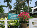 %_tempFileName16_Pattaya_Trine_Eklund_17_18_March_2014%