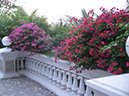 %_tempFileName24_Pattaya_Trine_Eklund_17_18_March_2014%