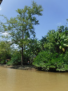 %_tempFileName056_Combu_island_6_Sept_2019%