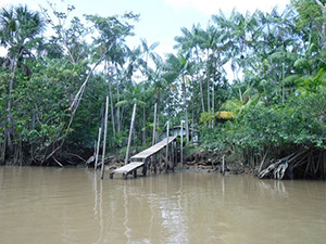 %_tempFileName069_Combu_island_6_Sept_2019%