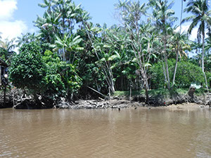 %_tempFileName111_Combu_island_6_Sept_2019%