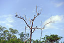 %_tempFileName046_Combu_island_6_Sept_2019%