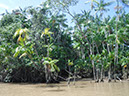 %_tempFileName074_Combu_island_6_Sept_2019%