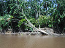 %_tempFileName082_Combu_island_6_Sept_2019%