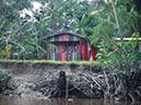 %_tempFileName108_Combu_island_6_Sept_2019%