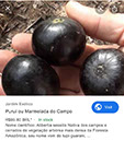 %_tempFileName66_0_Marmelada%