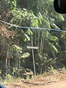 %_tempFileName36_Claudalices_brother_shot_2011%