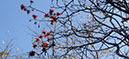%_tempFileName090_Sage_Uni_students_23_Feb_2023%