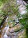 32_blue_mountains